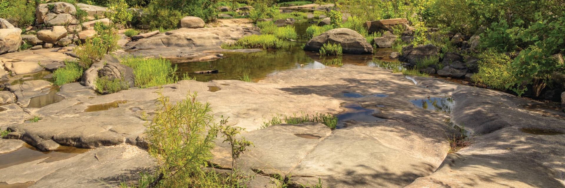 an image of rock formations, during low tide in the James River basin in Richmond, VA