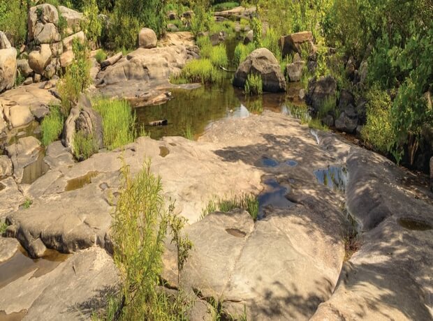 an image of rock formations, during[removed]void(0) low tide in the James River basin in Richmond, VA.