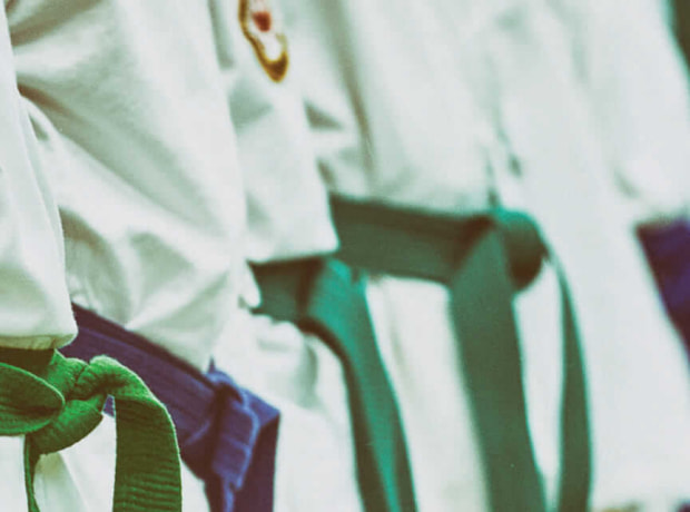 image of a group of martial arts students standing in a line, wearing white karate uniforms with colorful belts (green, blue, and orange) tied around their waists