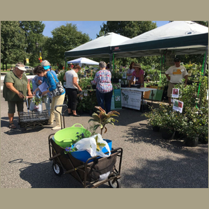 4/20-5/1: Lewis Ginter Spring Plant Sale