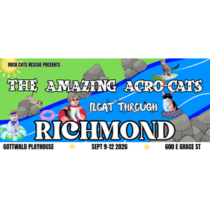 9/9-9/12: The Amazing Acro-Cats