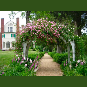 4/18-4/25: Historic Garden Week