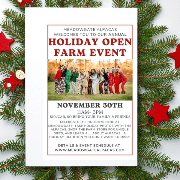 11/29: Meadowgate Alpacas Holiday Open Farm Event