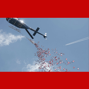 5/2: Operation Cow Drop