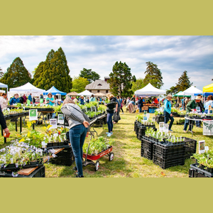 4/25: Herbs Galore Festival (at Maymont)