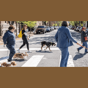 5/10: History Hounds Explore Ginter Park
