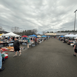 5/9: Flea Market-Odd Balls Collectibles