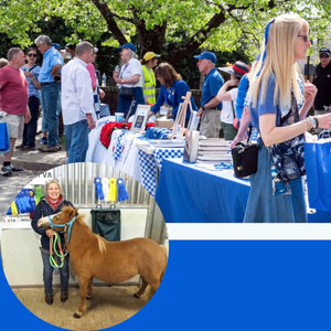 3/28: Secretariat Day