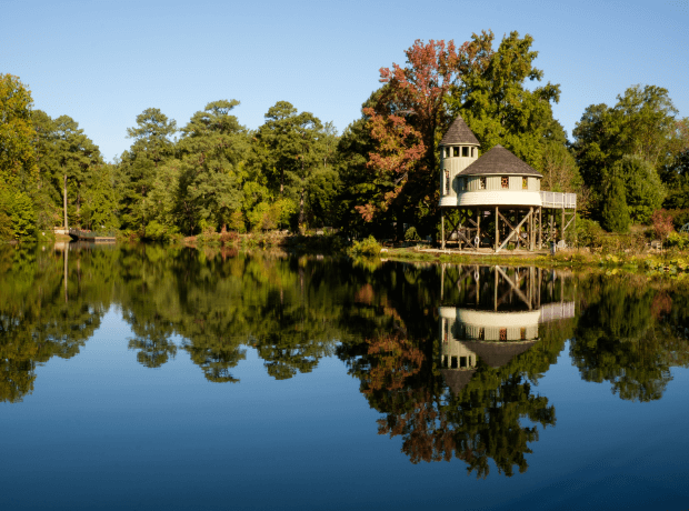 image of the treehouse in lewis ginter park in henrico county virginia